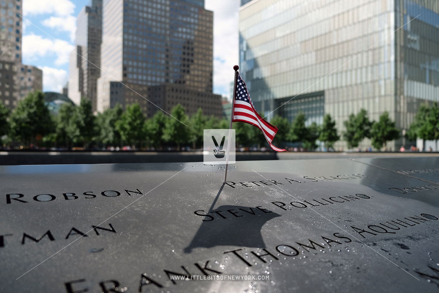 American Flag at the 9/11 Memorial