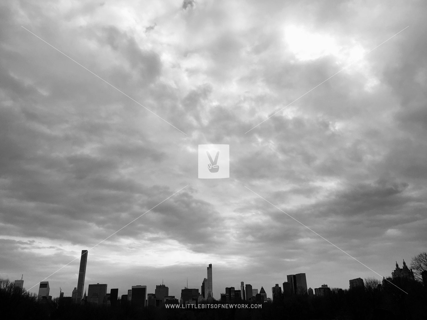 Midtown Skyline from the Park