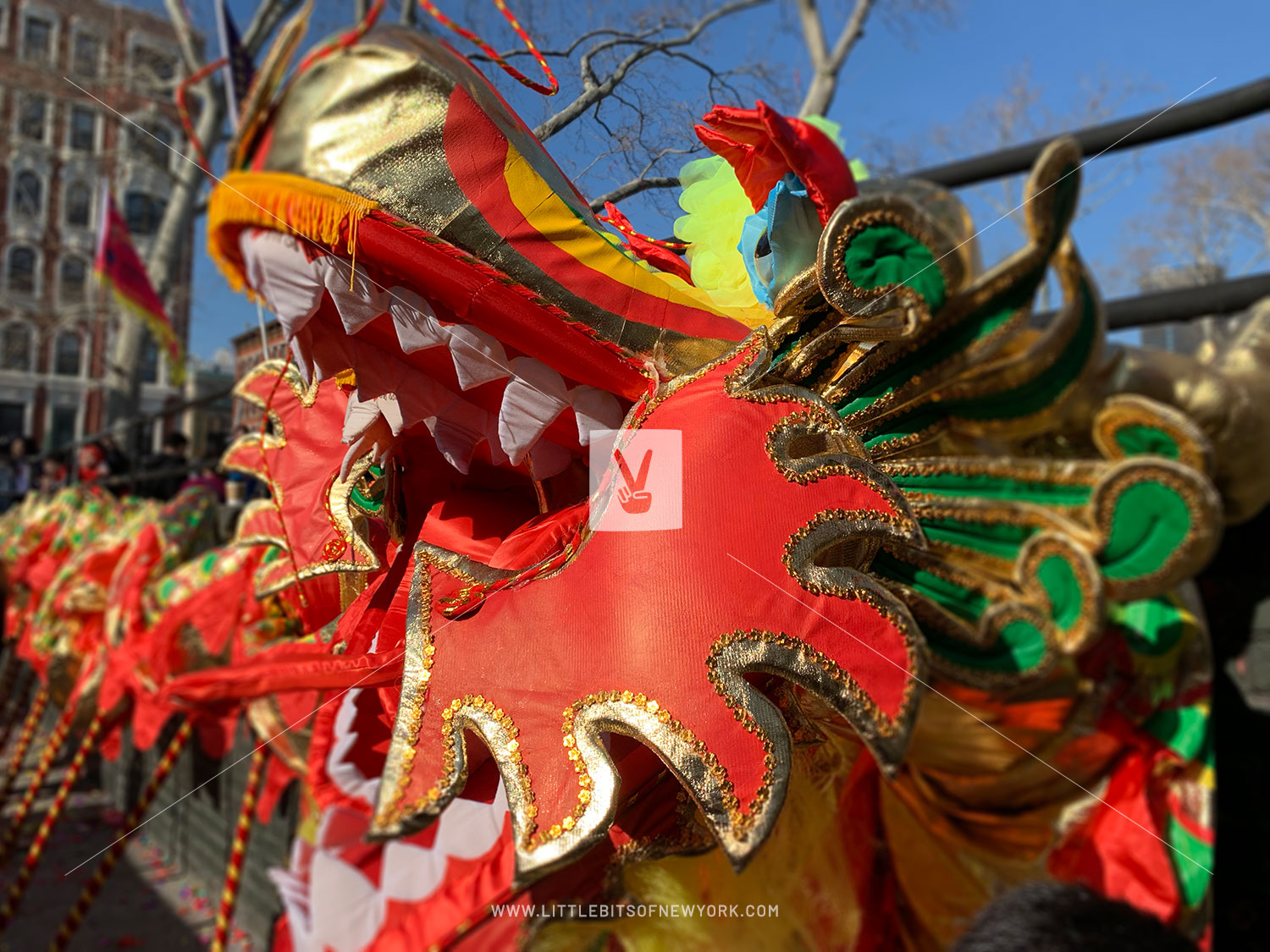 Year of the Pig… with a Dragon