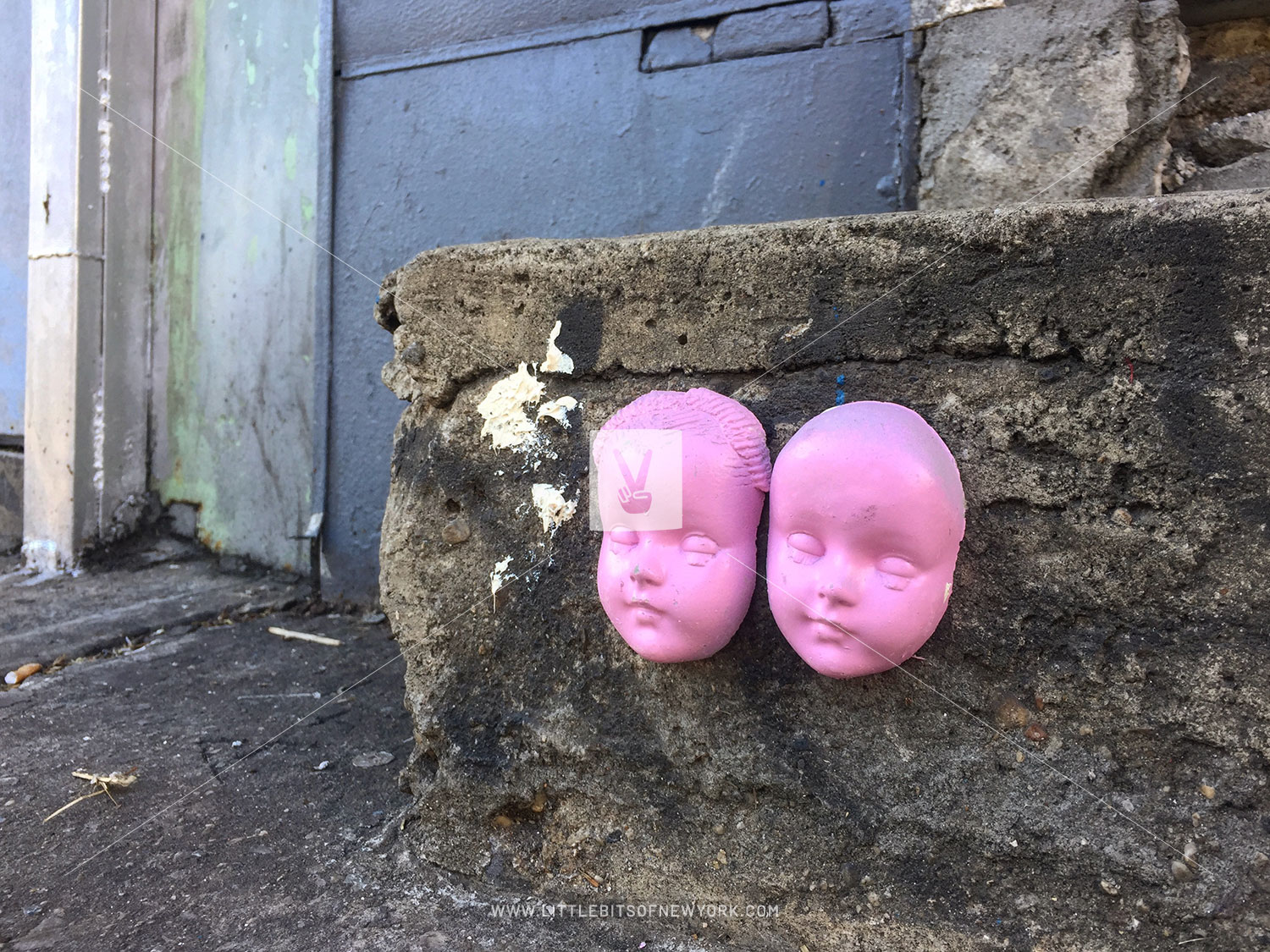 Mystery Pink Doll Heads