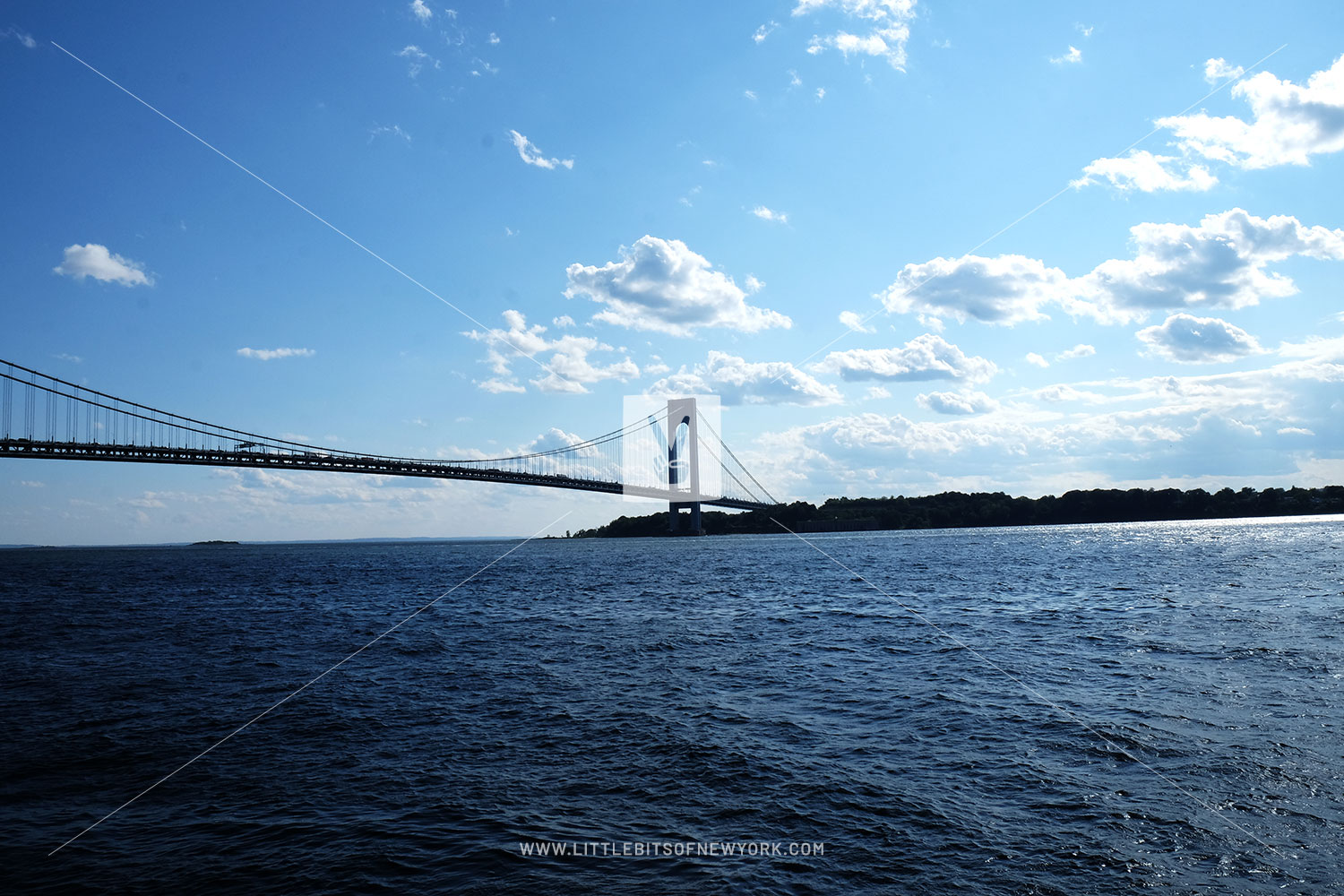Last Days of Summer at Shore Road Park