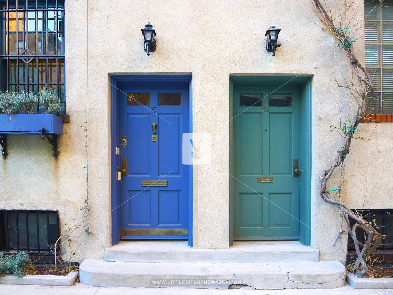 Washington Mews Doors