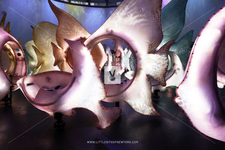 Interior of the Seaglass Carousel II