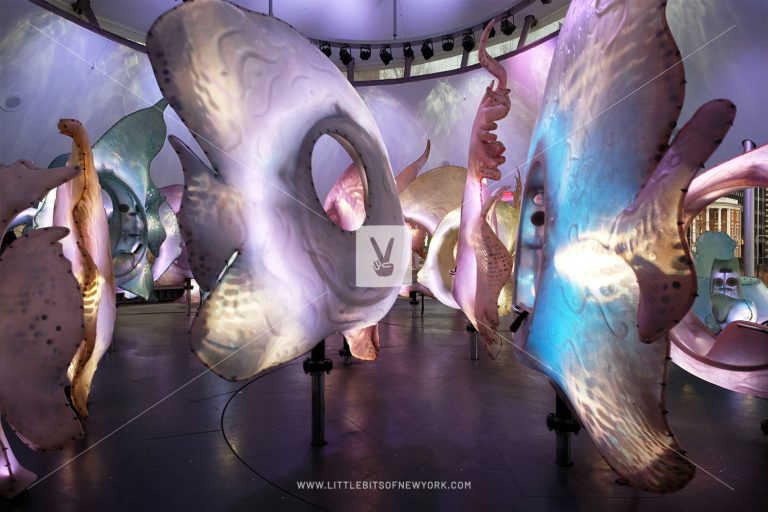 Interior of the Seaglass Carousel